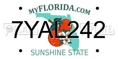 7YAL242 Florida License Plate
