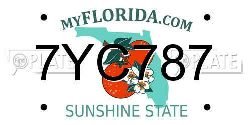 7YC787 Florida License Plate