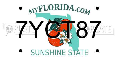 7YCT87 Florida License Plate