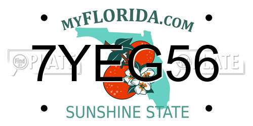7YEG56 Florida License Plate