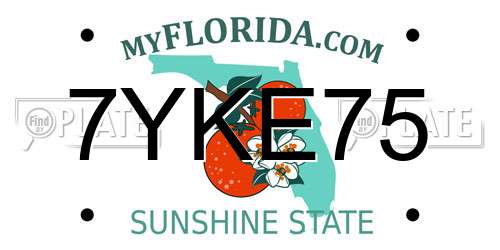7YKE75 Florida License Plate