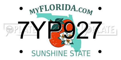 7YP927 Florida License Plate