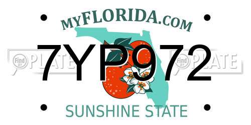 7YP972 Florida License Plate