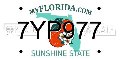7YP977 Florida License Plate