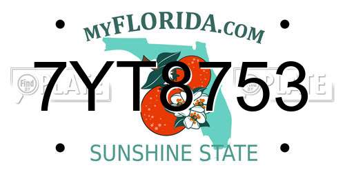 7YT8753 Florida License Plate