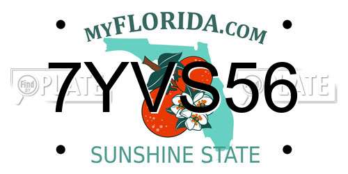 7YVS56 Florida License Plate