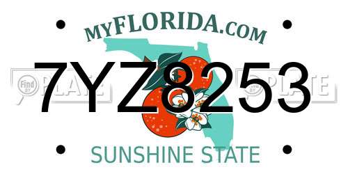 7YZ8253 Florida License Plate