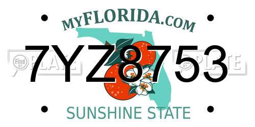 7YZ8753 Florida License Plate