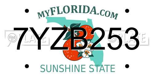 7YZB253 Florida License Plate