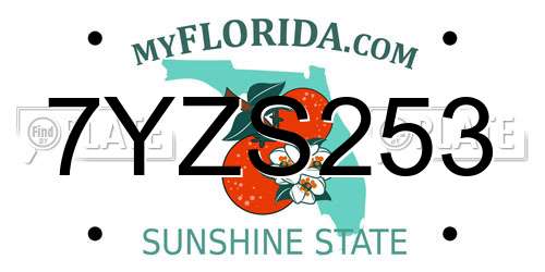 7YZS253 Florida License Plate