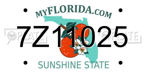 7Z11025 Florida License Plate