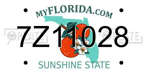 7Z11028 Florida License Plate