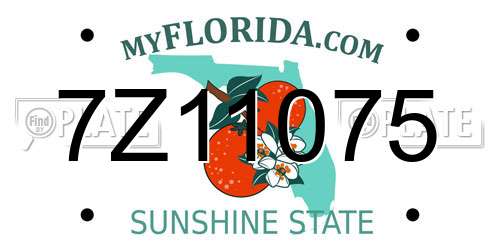 7Z11075 Florida License Plate