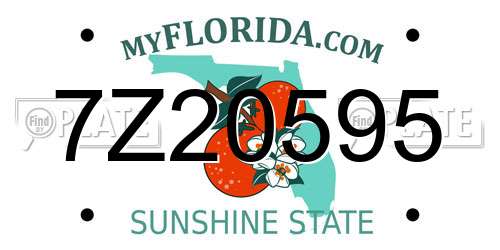 7Z20595 Florida License Plate
