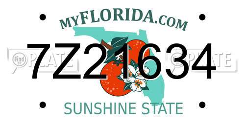 7Z21634 Florida License Plate