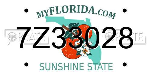 7Z33028 Florida License Plate