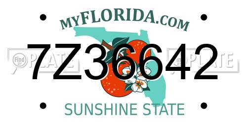 7Z36642 Florida License Plate