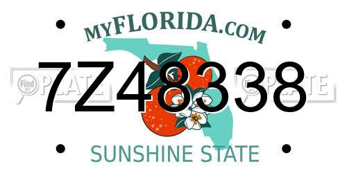 7Z48338 Florida License Plate
