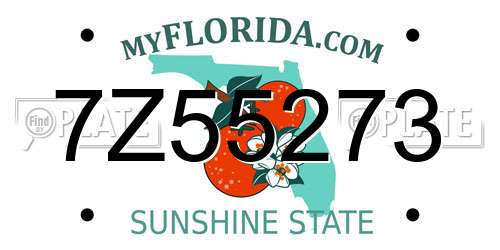 7Z55273 Florida License Plate