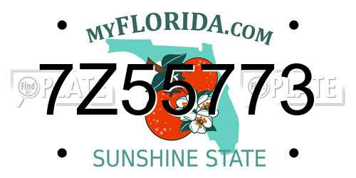 7Z55773 Florida License Plate
