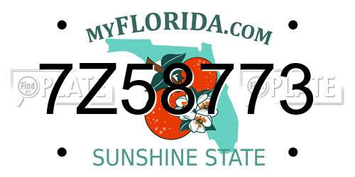 7Z58773 Florida License Plate