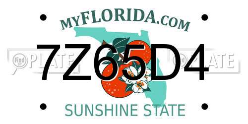 7Z65D4 Florida License Plate