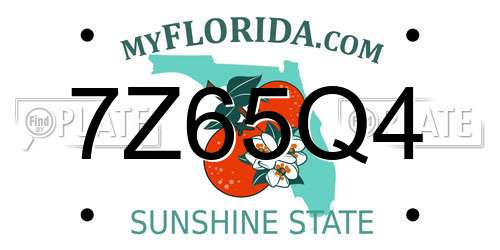 7Z65Q4 Florida License Plate