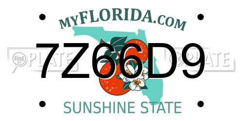 7Z66D9 Florida License Plate