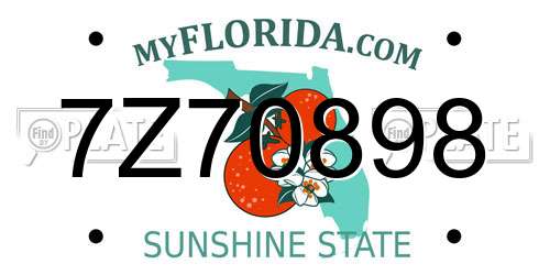 7Z70898 Florida License Plate