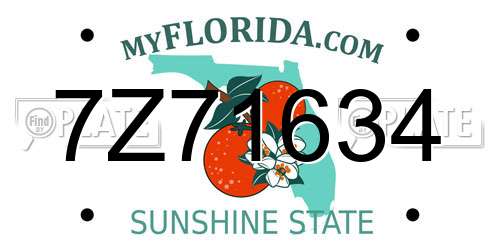 7Z71634 Florida License Plate