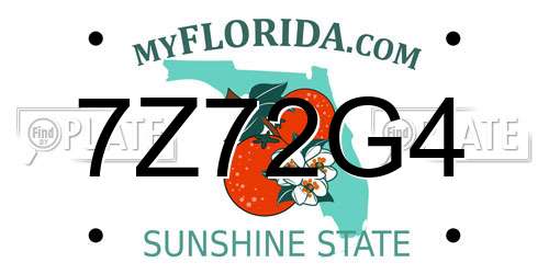 7Z72G4 Florida License Plate