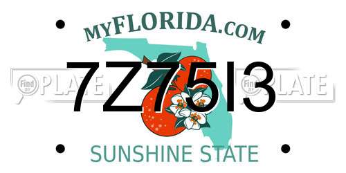 7Z75I3 Florida License Plate