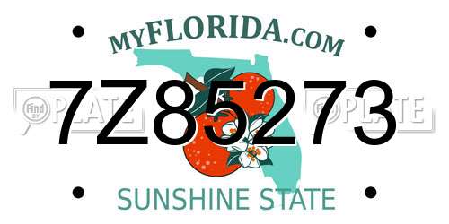 7Z85273 Florida License Plate
