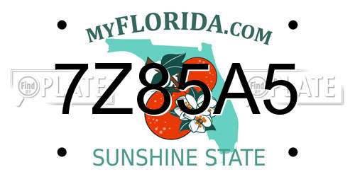 7Z85A5 Florida License Plate