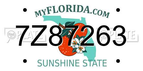 7Z87263 Florida License Plate