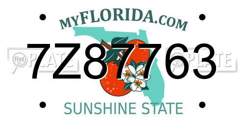 7Z87763 Florida License Plate