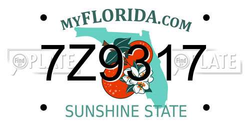 7Z9317 Florida License Plate