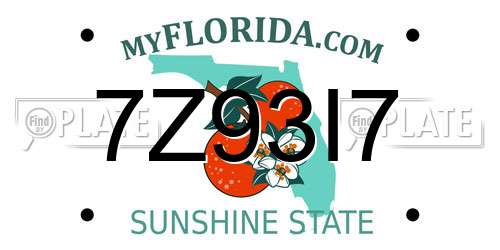 7Z93I7 Florida License Plate