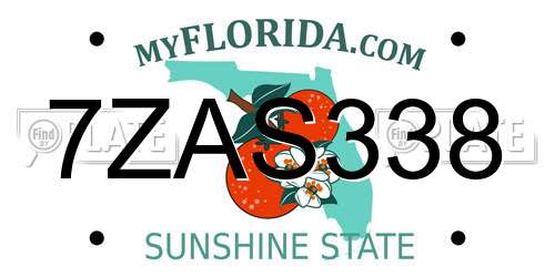 7ZAS338 Florida License Plate