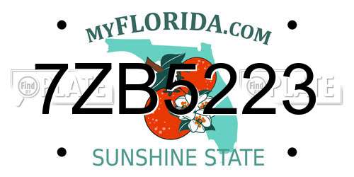 7ZB5223 Florida License Plate