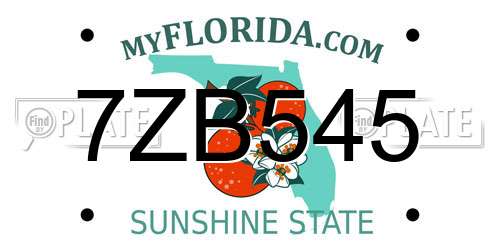 7ZB545 Florida License Plate