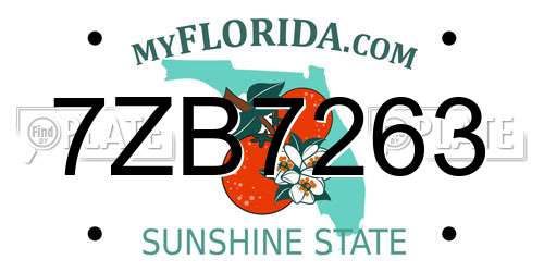 7ZB7263 Florida License Plate
