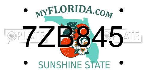 7ZB845 Florida License Plate