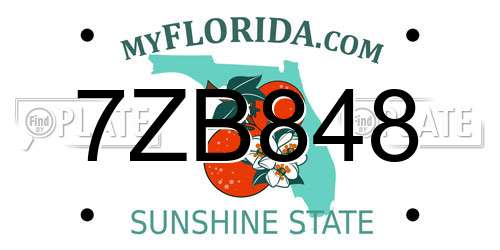 7ZB848 Florida License Plate
