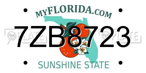 7ZB8723 Florida License Plate