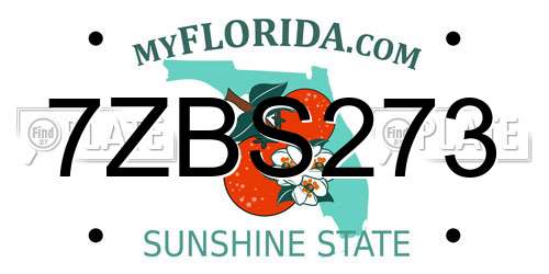 7ZBS273 Florida License Plate