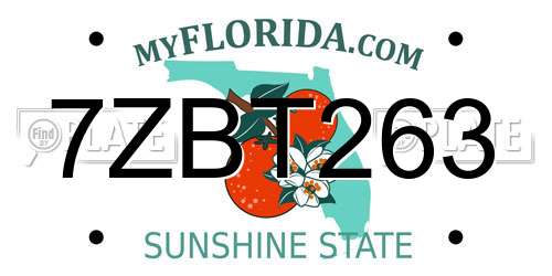 7ZBT263 Florida License Plate