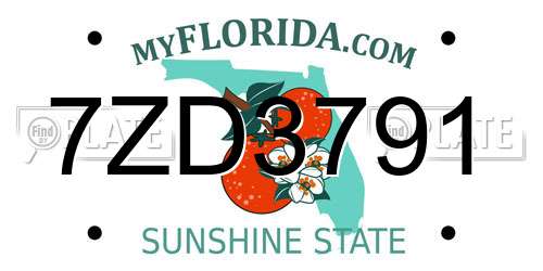 7ZD3791 Florida License Plate