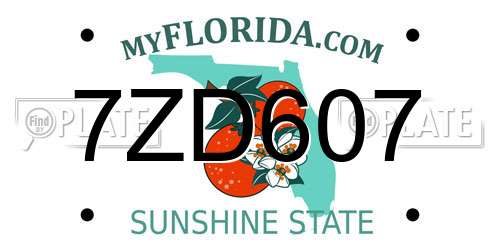 7ZD607 Florida License Plate