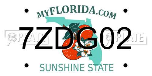 7ZDG02 Florida License Plate